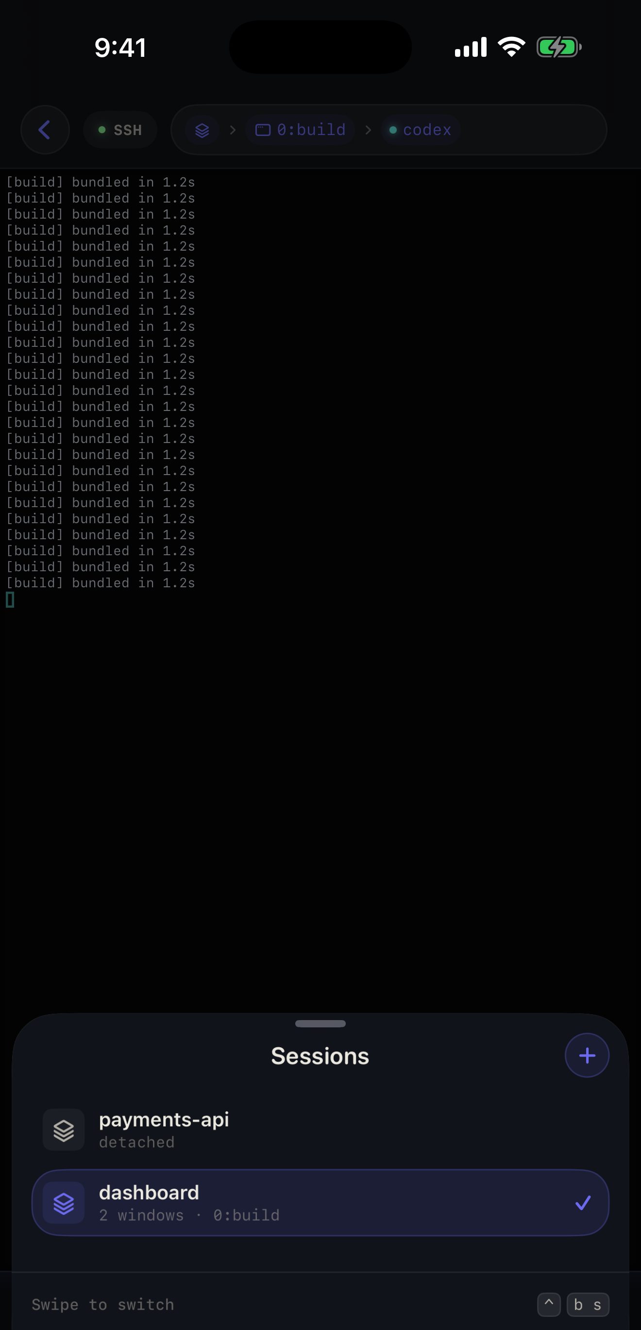 The session switcher sheet: every tmux session on the server, each showing its window count and whether it is attached elsewhere